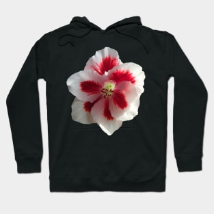 white flower, flowers, nature, blooms, red Hoodie